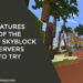 Features of the best skyblock servers to try
