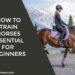 How to Train Horses
