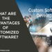 What are the advantages of customized software