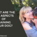 Training Your Dog