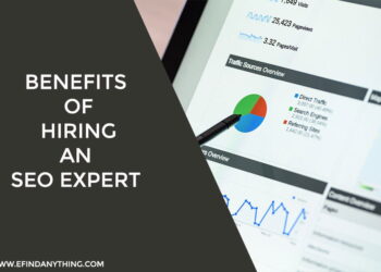 Hiring an SEO Expert