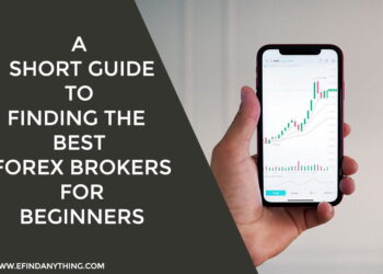 Best Forex Brokers for Beginners