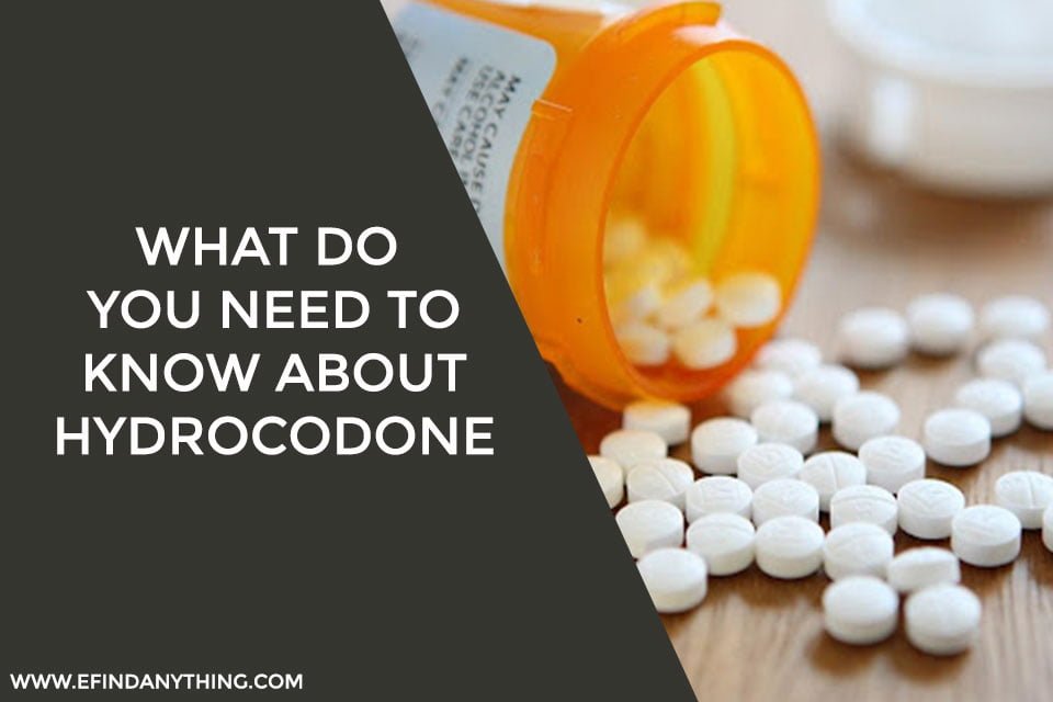 What Do You Need To Know About Hydrocodone? Check Out Important Details