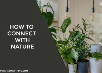 How To Connect With Nature