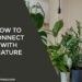 How To Connect With Nature