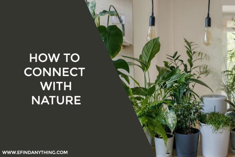 How To Connect With Nature