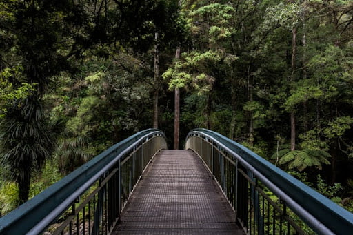 How To Connect With Nature