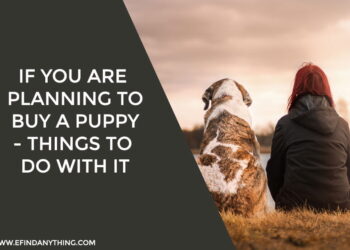 Planning To Buy a Puppy
