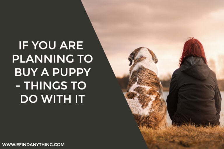 Planning To Buy a Puppy