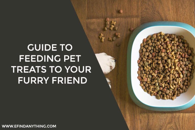 Feeding Pet Treats to Your Furry Friend