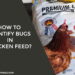 How to Identify Bugs in Chicken Feed