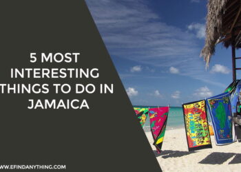 5 Most Interesting Things to Do In Jamaica