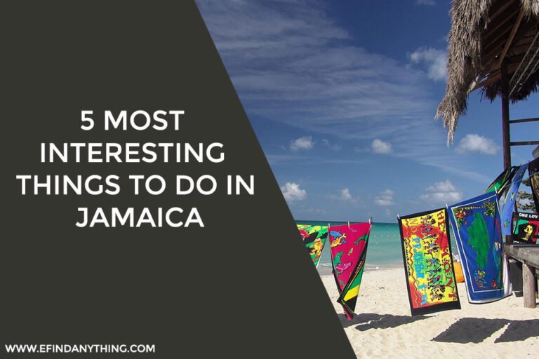 5 Most Interesting Things to Do In Jamaica