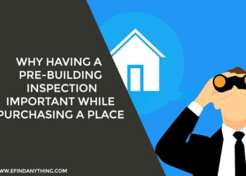 Building Inspection