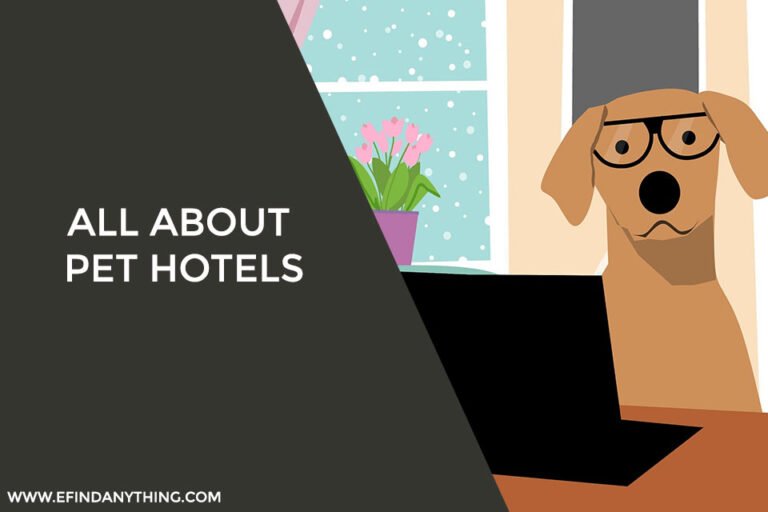 All About Pet Hotels