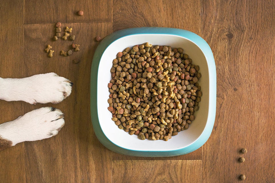 Vegan-Pet-Food