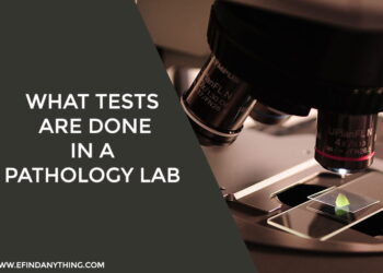 What tests are done in a Pathology Lab
