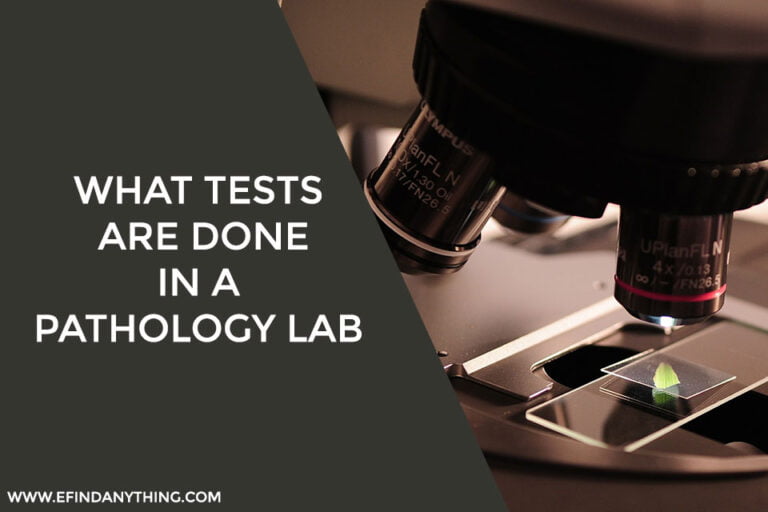 What tests are done in a Pathology Lab