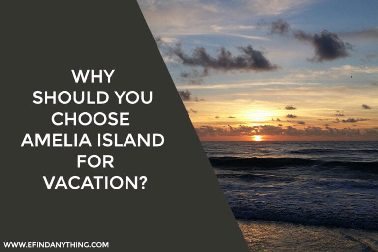 Why Should You Choose Amelia Island For Vacation