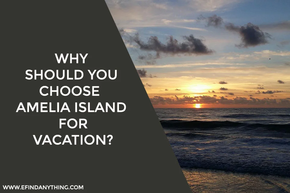 Why Should You Choose Amelia Island For Vacation?