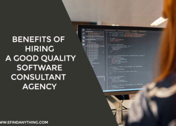 Benefits Of Hiring a Good Quality Software Consultant Agency