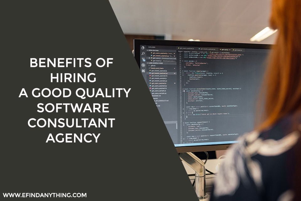 Benefits Of Hiring a Good Quality Software Consultant Agency