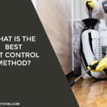 best pest control method