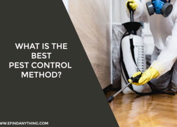 best pest control method