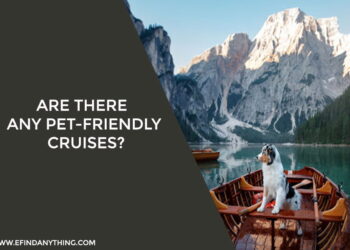 Are there any pet-friendly cruises