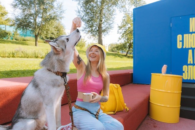 dog essentials