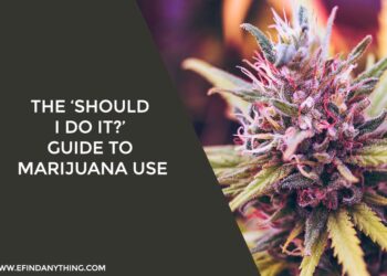Guide to Marijuana Use