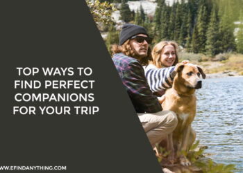 Top Ways to Find Perfect Companions for Your Trip