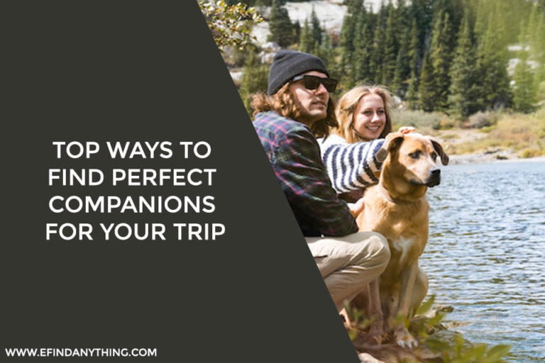 Top Ways to Find Perfect Companions for Your Trip