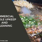 Commercial griddle upkeep and cleaning