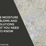 Home Moisture Problems and Solutions: What You Need to Know