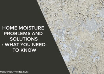 Home Moisture Problems and Solutions: What You Need to Know