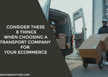 Consider These 8 Things When Choosing a Transport Company for Your Ecommerce
