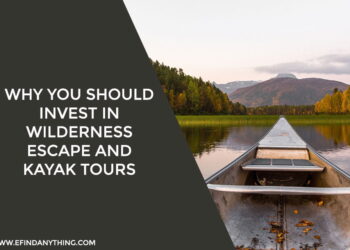 Why You Should Invest In Wilderness Escape and Kayak Tours