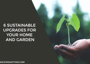 6 Sustainable Upgrades for Your Home and Garden