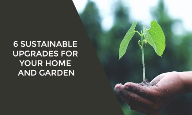 6 Sustainable Upgrades for Your Home and Garden