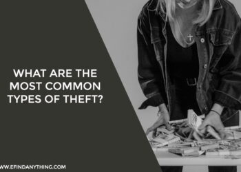 What Are the Most Common Types of Theft?