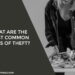 What Are the Most Common Types of Theft?