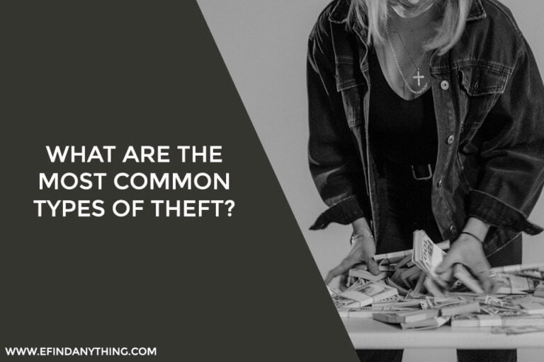 What Are the Most Common Types of Theft?