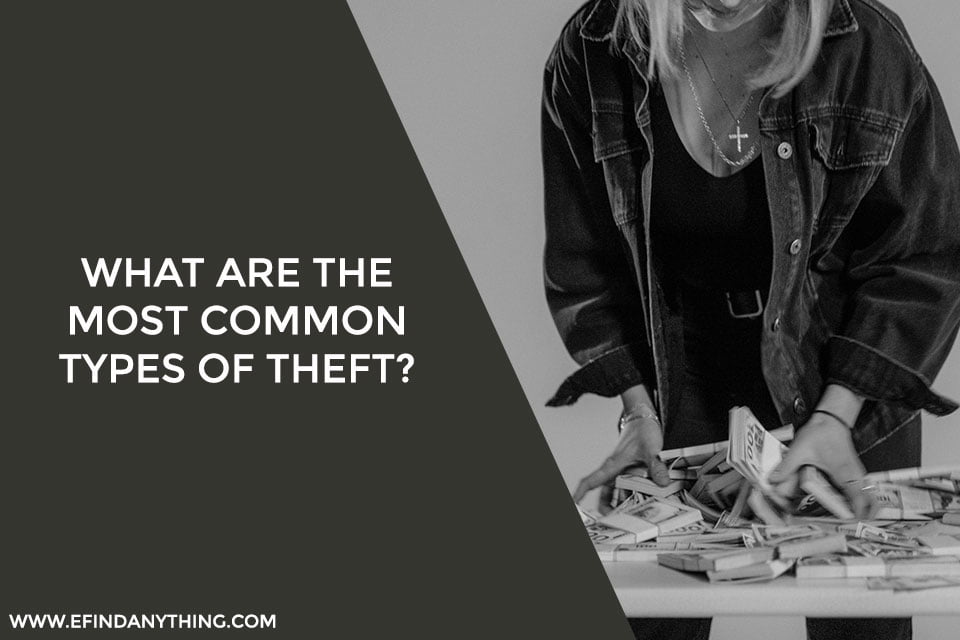 What Are the Most Common Types of Theft?