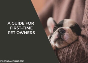 A Guide for First-Time Pet Owners