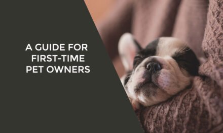 A Guide for First-Time Pet Owners