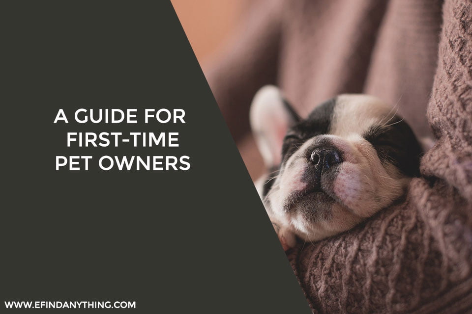 A Guide for First-Time Pet Owners