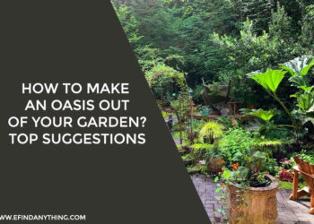 How To Make An Oasis Out Of Your Garden