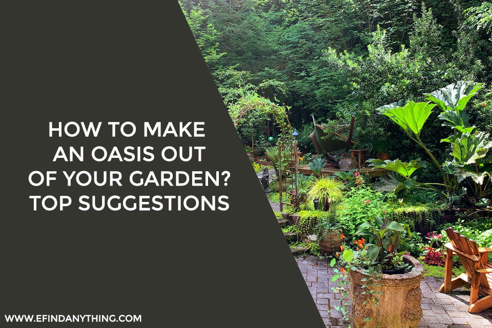 How To Make An Oasis Out Of Your Garden