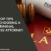 Criminal Defense Attorney